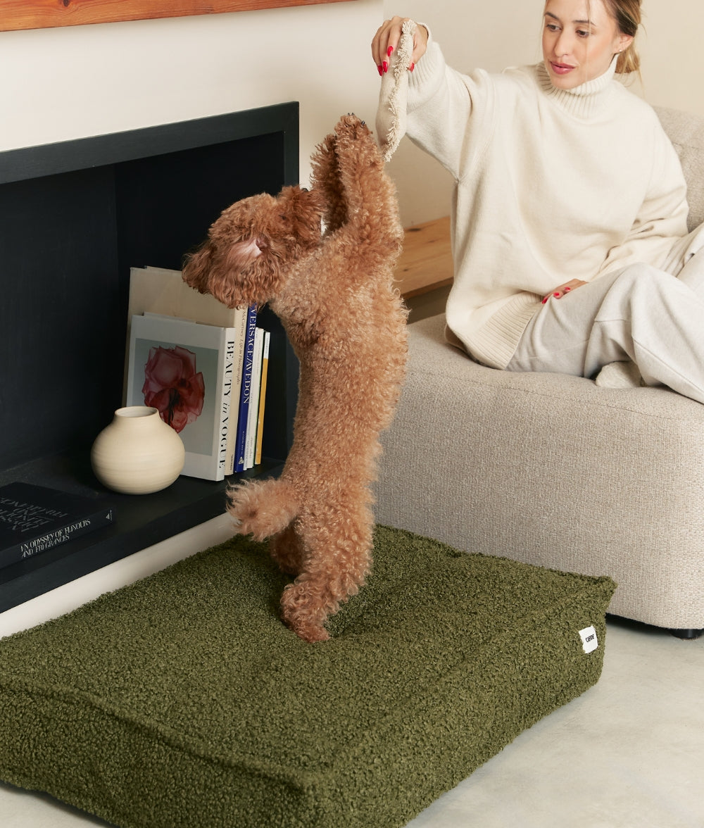 cafide-sleep-cuadra-hundebett-gr-n-fleece-m-waschbar image 2