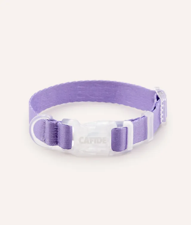 cafide-walk-ona-hundehalsband-violett-xs-verstellbar image 1