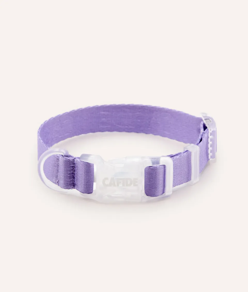 cafide-walk-ona-hundehalsband-violett-xs-verstellbar image 1