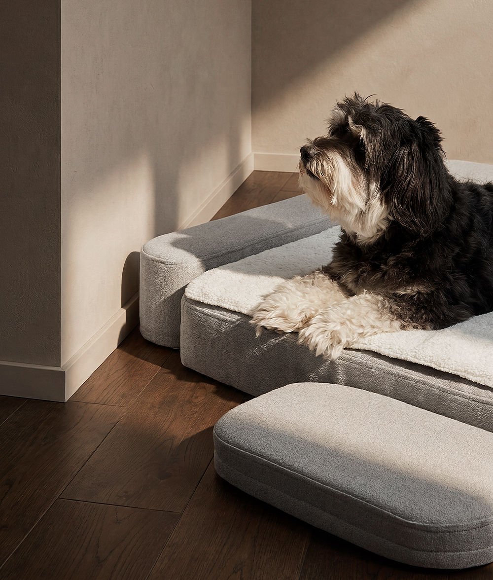 cafide-pets-sleep-soma-orthop-disches-hundebett-memory-foam image 2