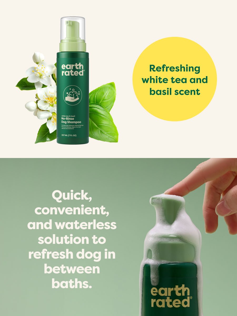 earth-rated-trockenshampoo-hund-schaum-white-tea-basilikum image 4