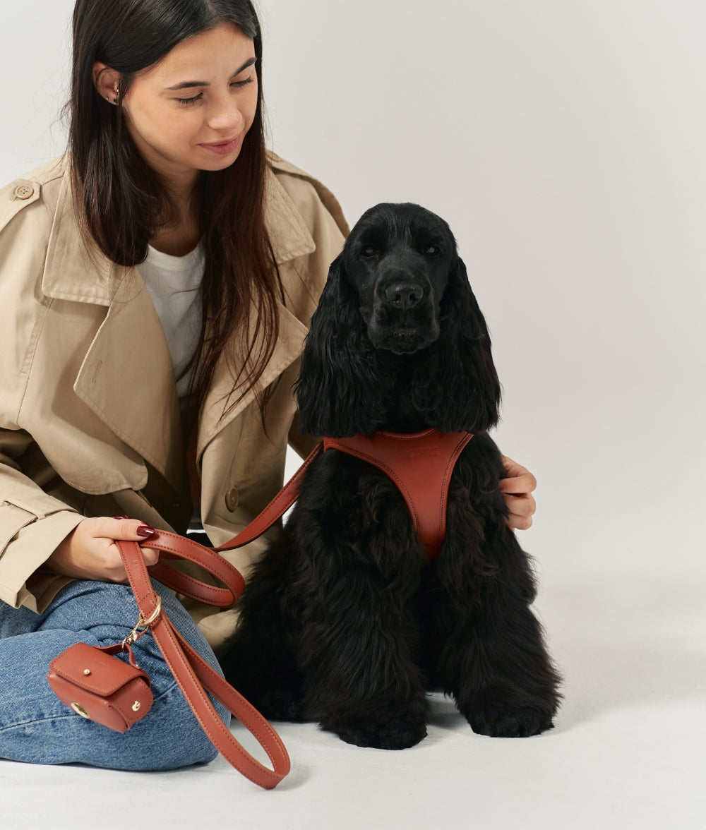 cafide-pets-walk-jala-hundeleine-1-4-m-braun-veganleder image 6