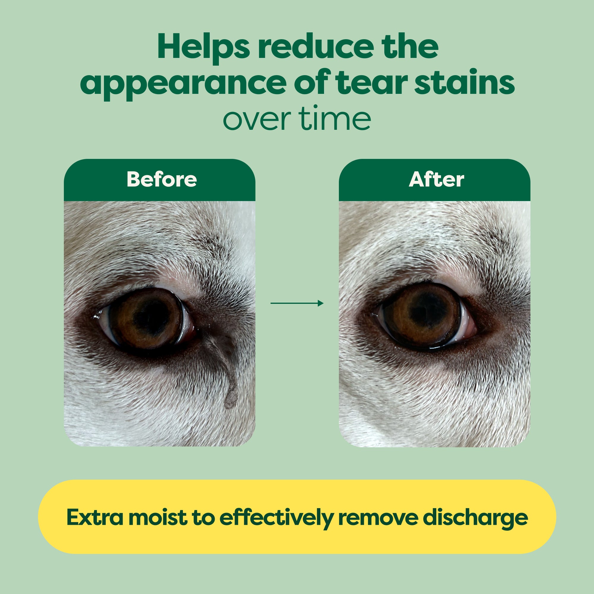 earth-rated-eye-wipes-augenpflege-hund-kamille-parf-mfrei image 6