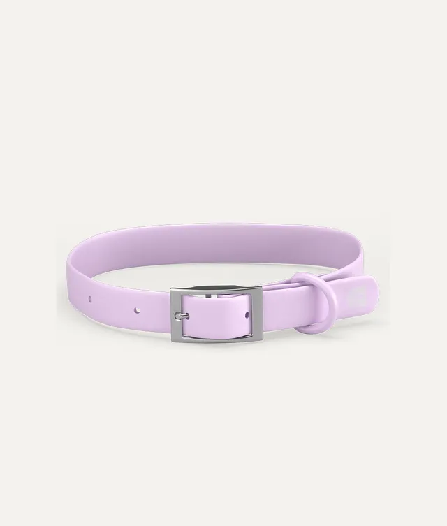 cafide-pets-walk-gala-hundehalsband-violett-verstellbar image 1