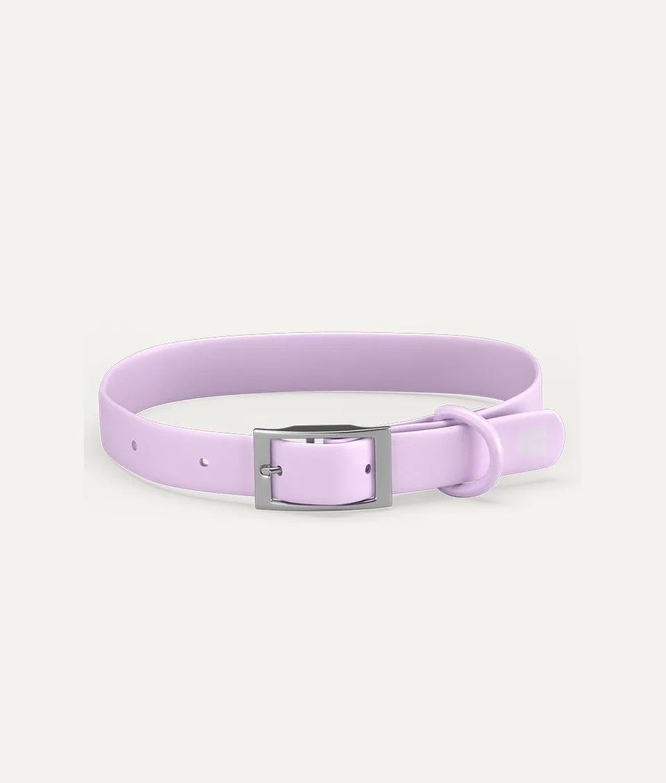 cafide-pets-walk-gala-hundehalsband-violett-verstellbar image 1