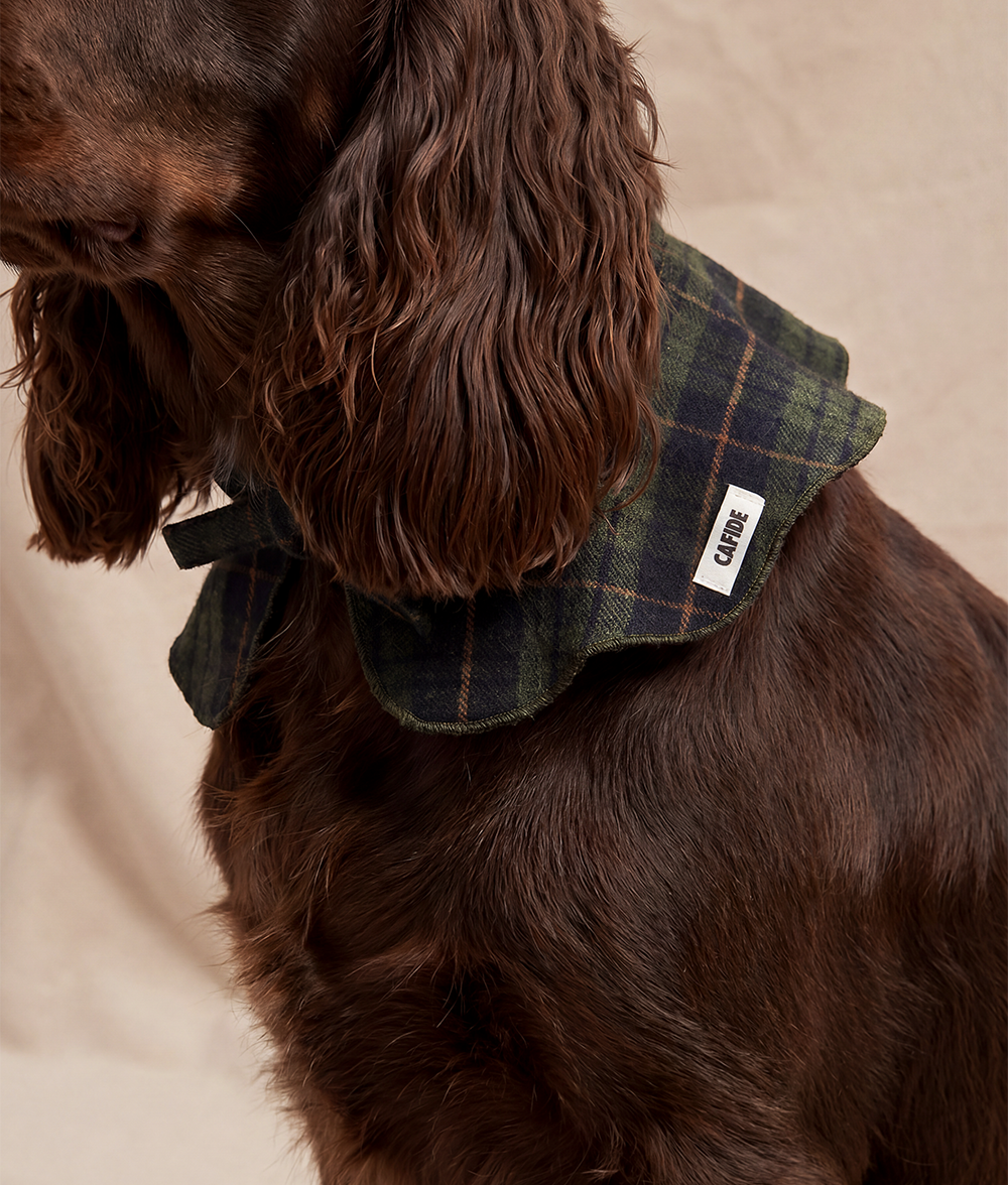cafide-pets-walk-lola-hundehalstuch-tartan-gr-n-baumwolle image 3