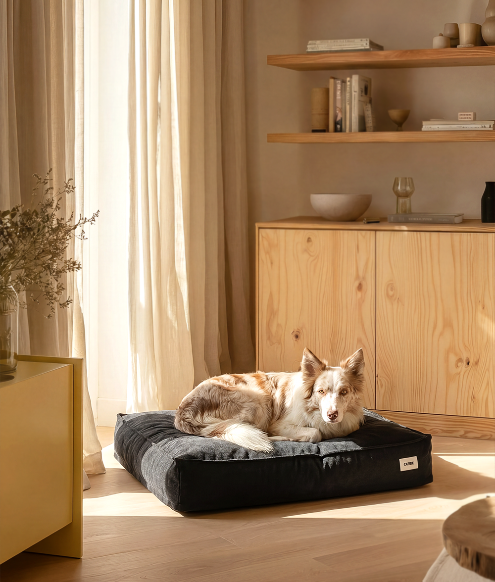 cafide-cuadra-hundebett-anthrazit-m-75x60x15cm-soft-touch image 3