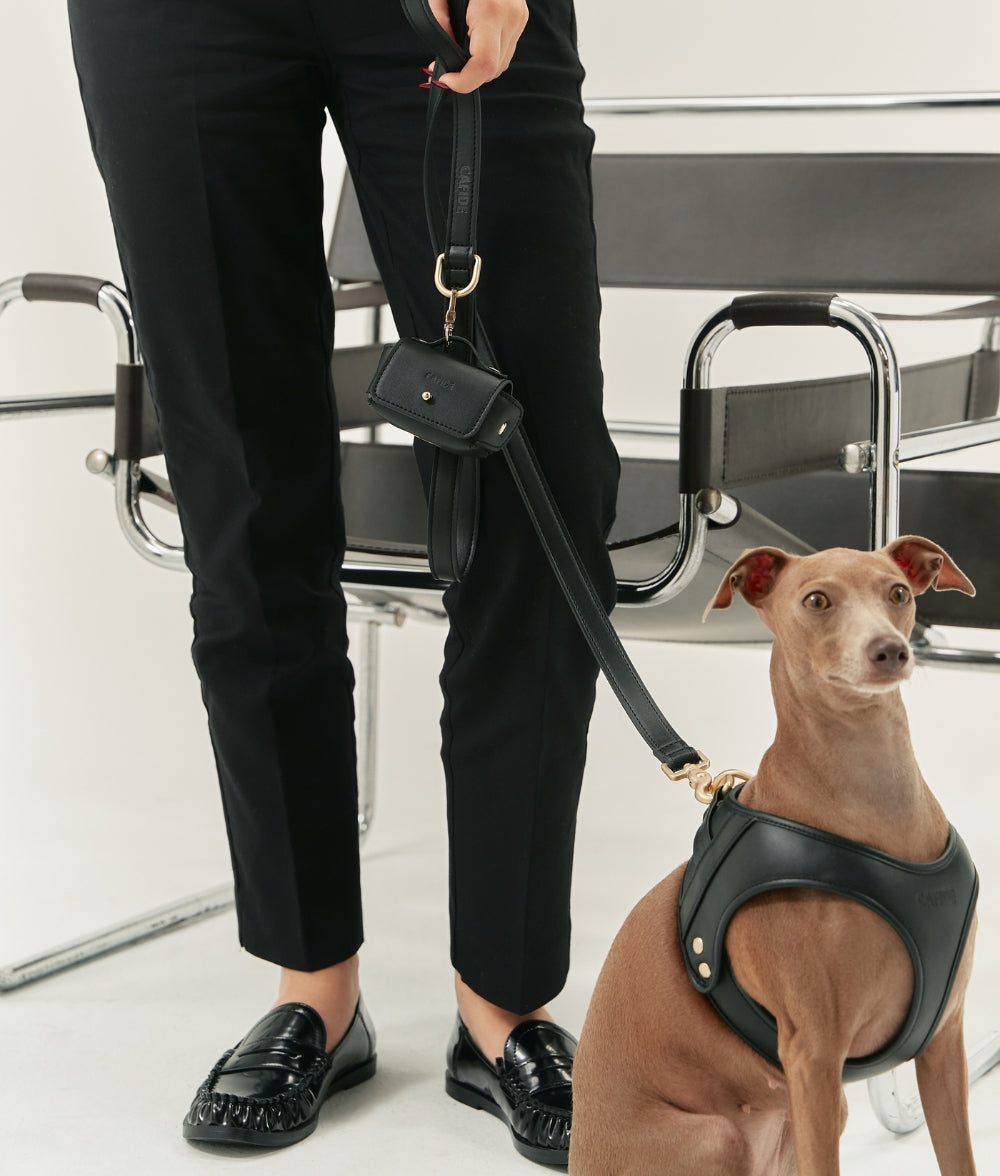 cafide-walk-jala-hundegeschirr-veganes-leder-schwarz image 3