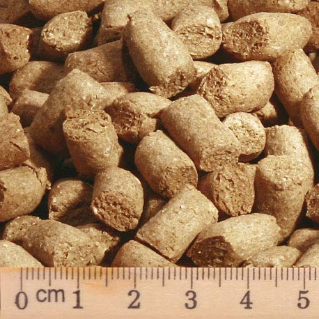 bubeck-junior-lamm-1-kg-trockenfutter-getreidefrei-welpen image 3