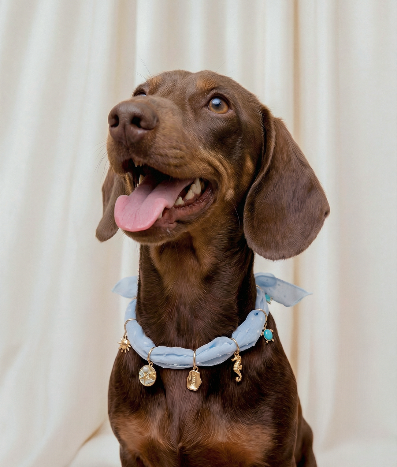 cafide-pets-jewelry-sira-hundehalstuch-blau-plumeti-gr-s image 2
