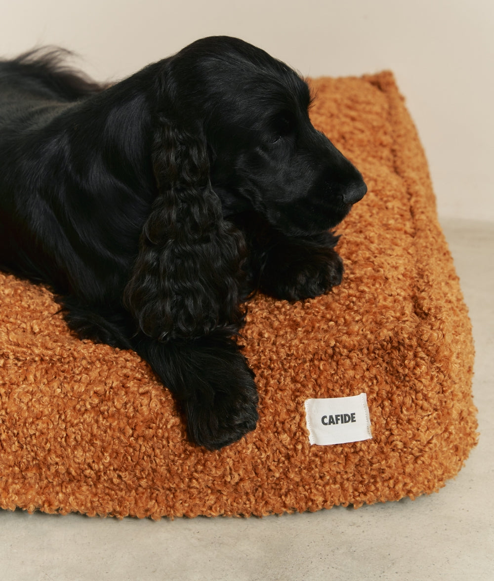 cafide-cuadra-mustard-hundebett-senf-pl-sch-waschbar-recyclingschaum image 3