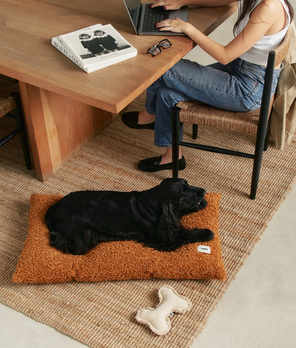 cafide-sleep-bela-hundekissen-fleece-senf-waschbar image 3