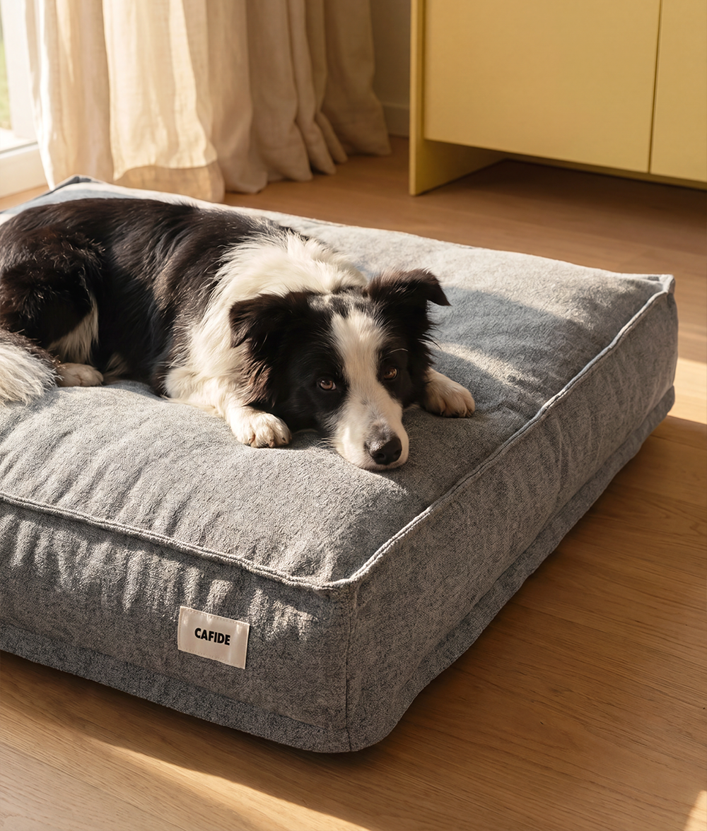 cafide-pets-sleep-cuadra-hundebett-grau-verstellbar image 2