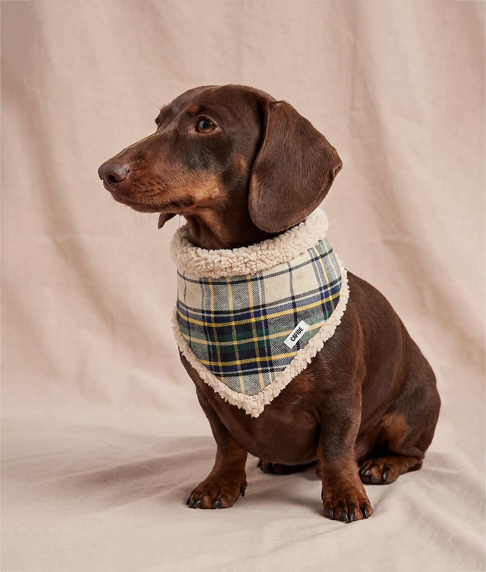 cafide-nata-hundehalstuch-beige-tartan-karo-s image 2