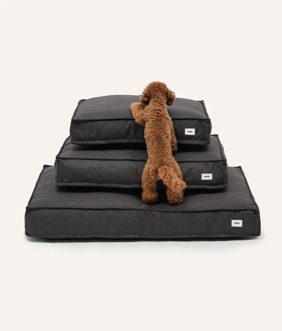cafide-cuadra-hundebett-anthrazit-m-75x60x15cm-soft-touch image 1