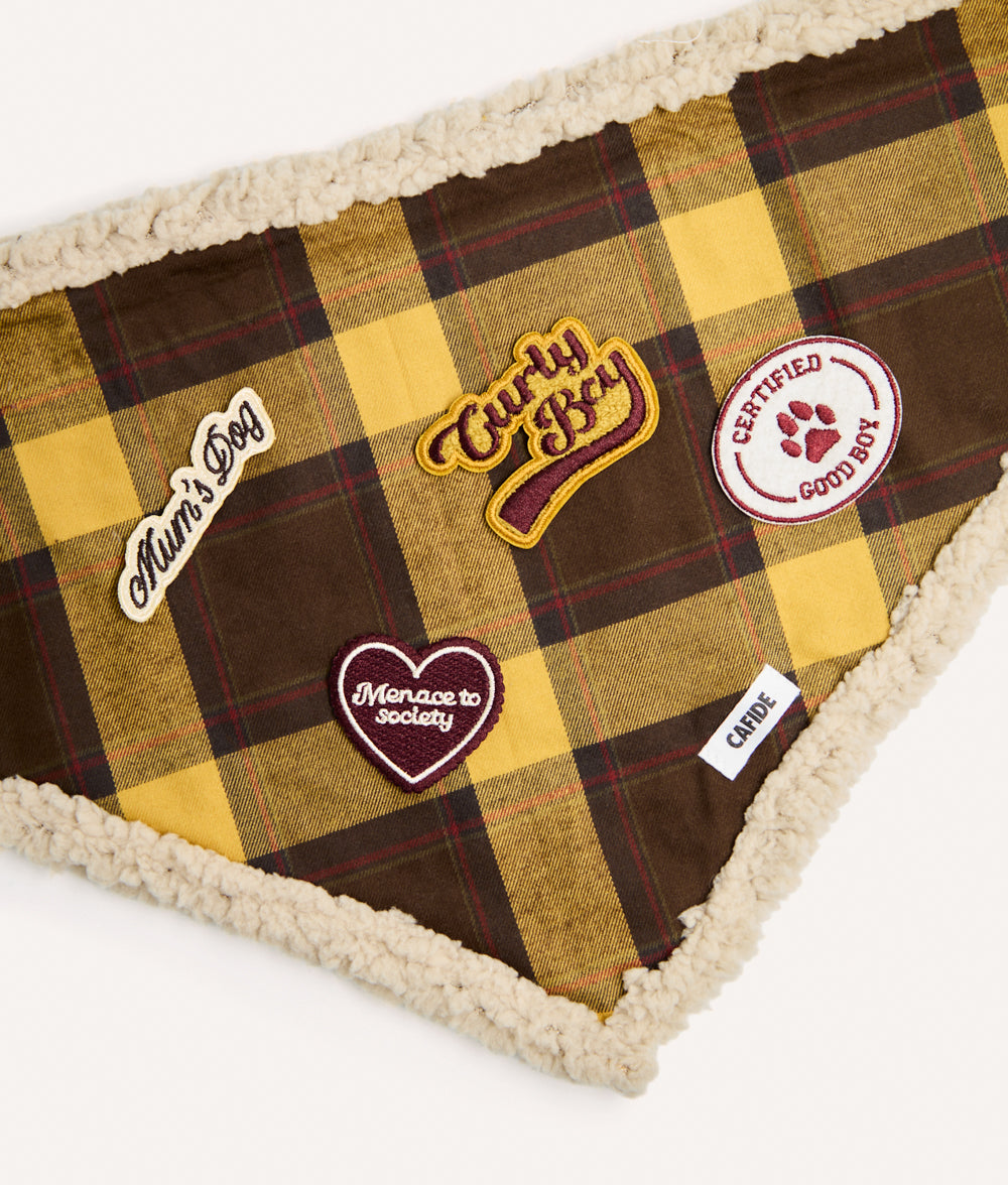 cafide-pets-accessories-pippa-b-gelpatch-curly-boy-senf image 2