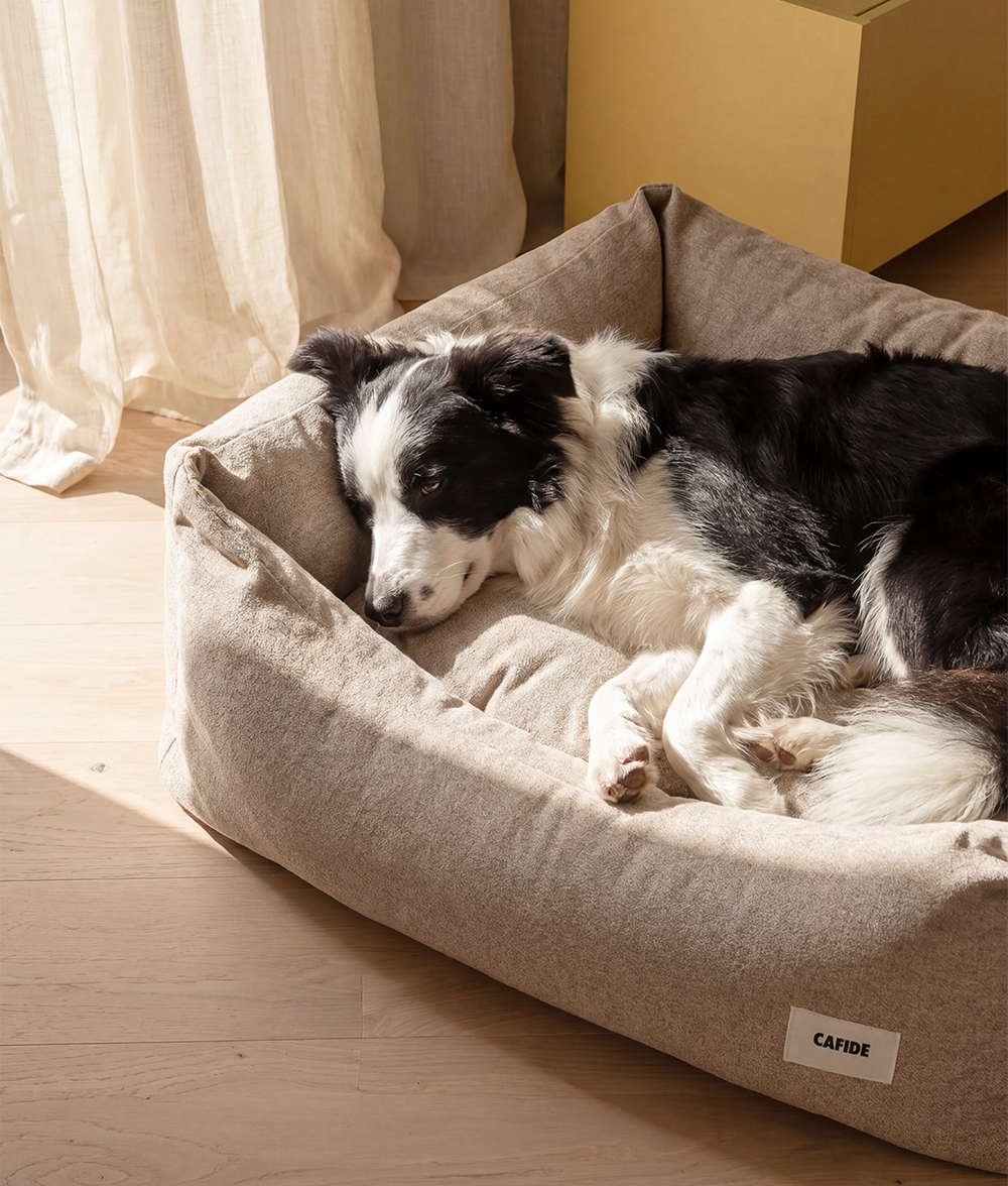 cafide-sleep-snozy-hundebett-beige-waschbar image 2