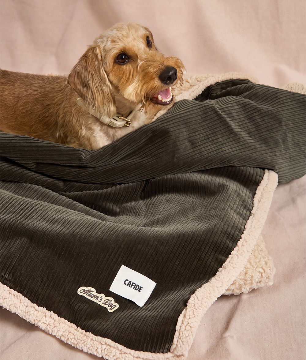 cafide-toia-hundedecke-gr-n-cord-sherpa-m image 3