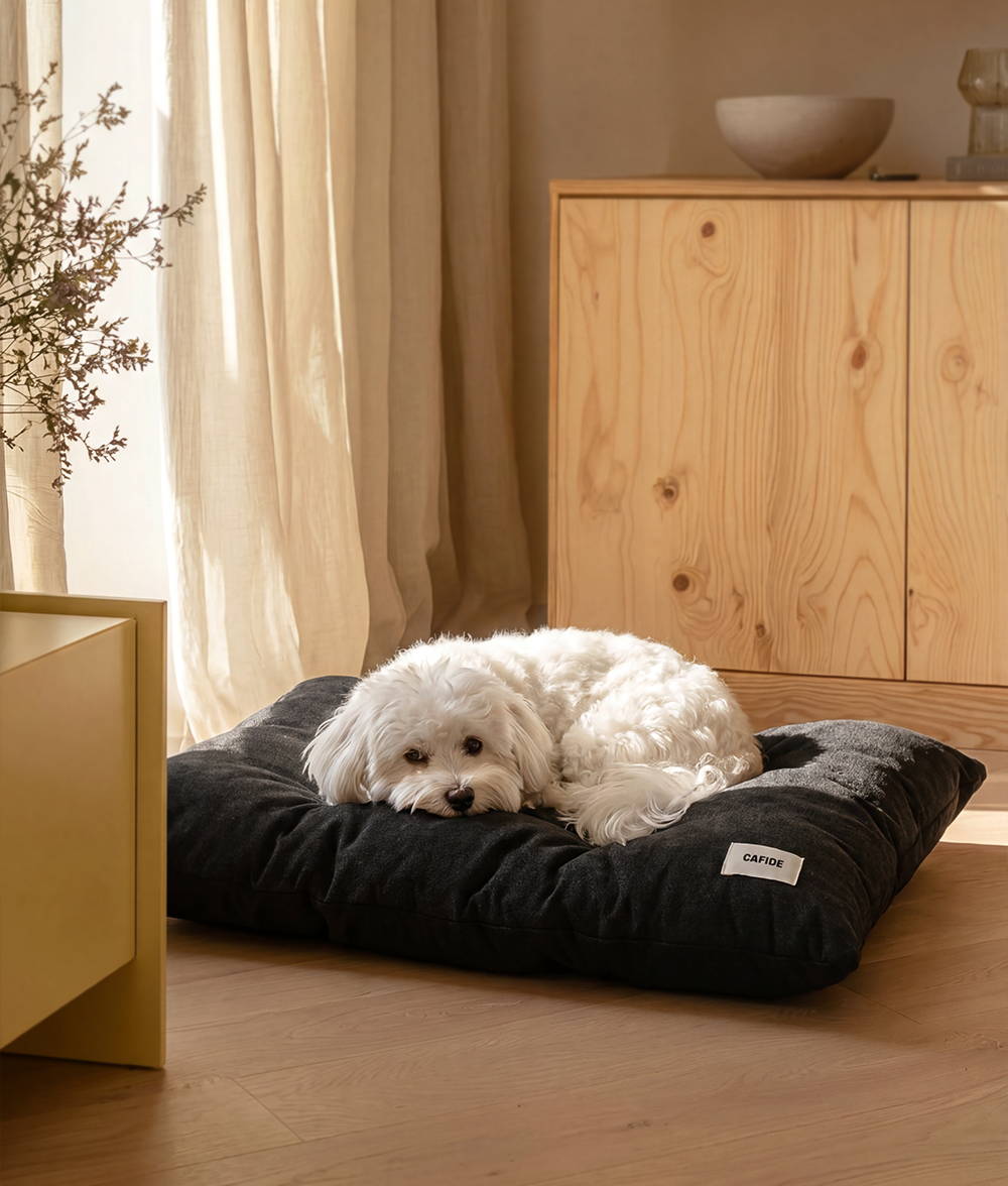 cafide-sleep-bela-hundekissen-anthrazit-waschbar image 2