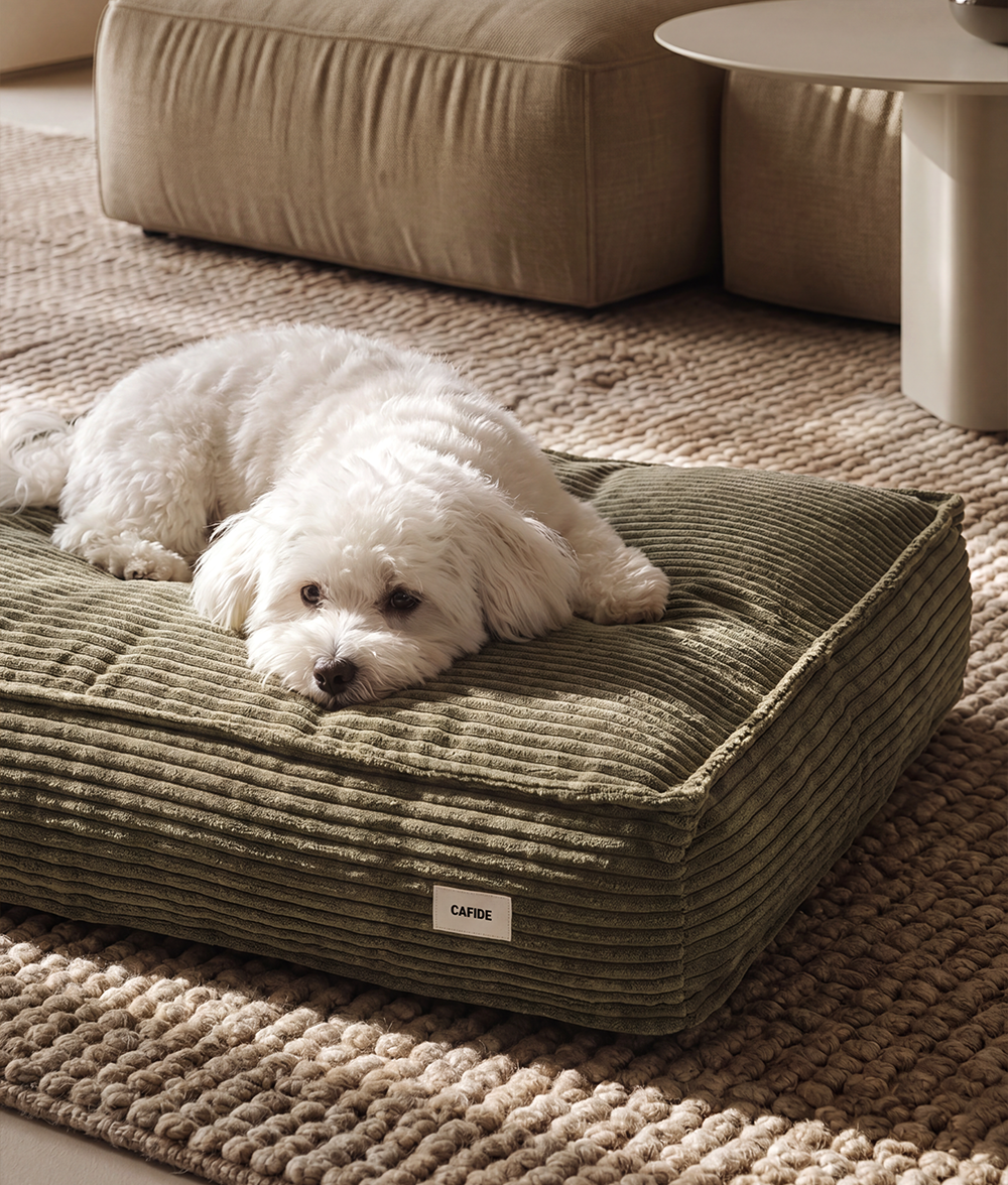 cafide-sleep-cuadra-hundebett-cord-gr-n-m-76x60 image 2