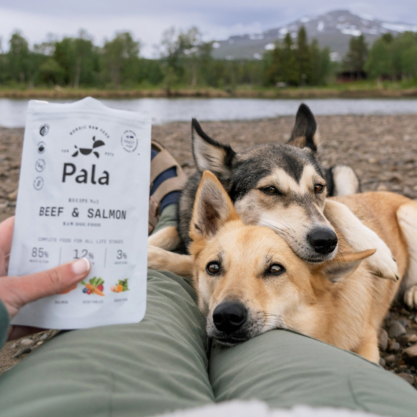 pala-recipe-3-rind-lachs-trockenfutter-1-kg-f-r-aktive-hunde image 2