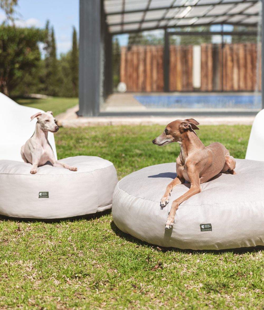 cafide-sleep-calos-hundebett-beige-outdoor-m-70x70-waschbar image 1