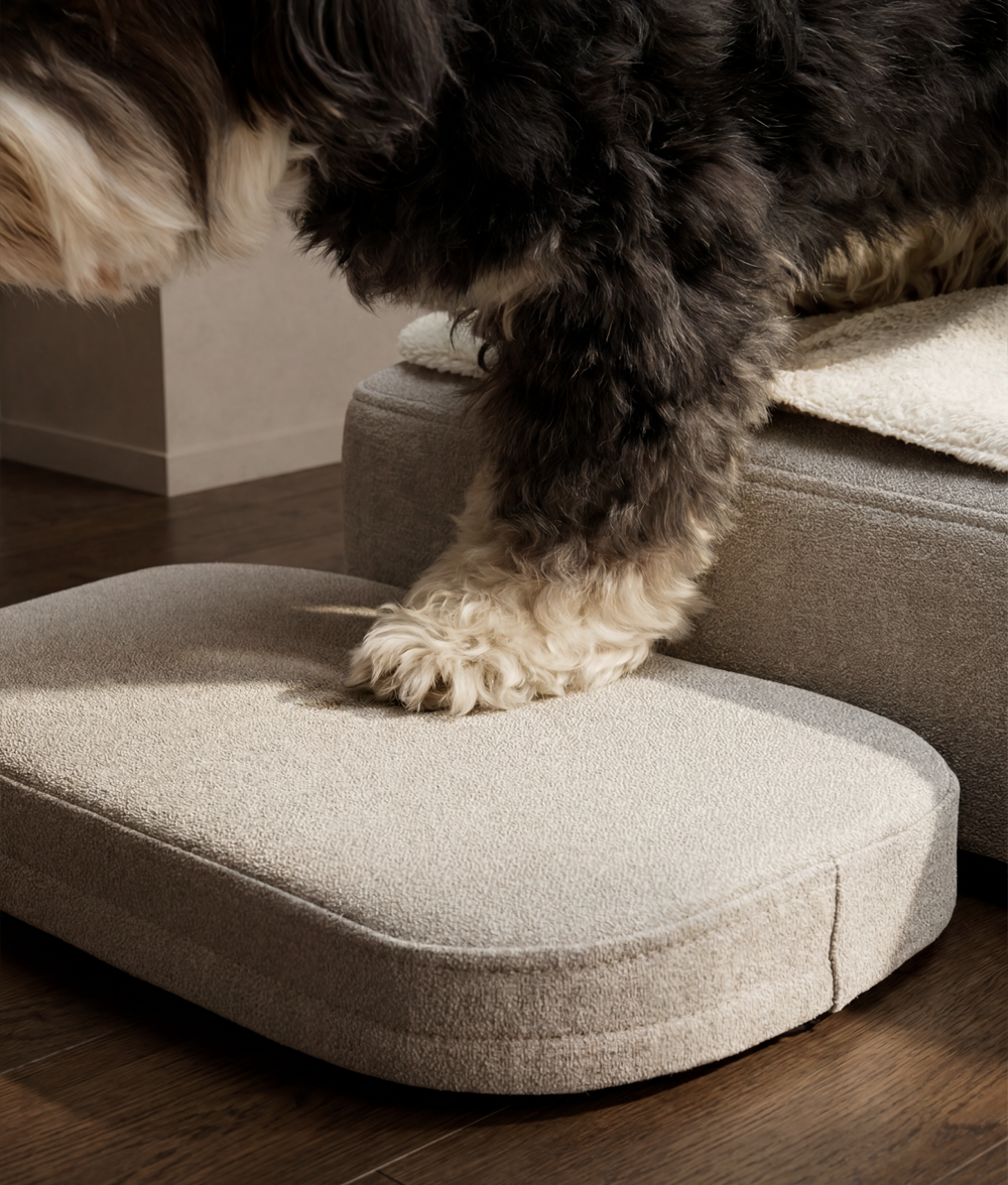 cafide-pets-sleep-soma-einstiegstufe-hundebett-orthop-disch image 2