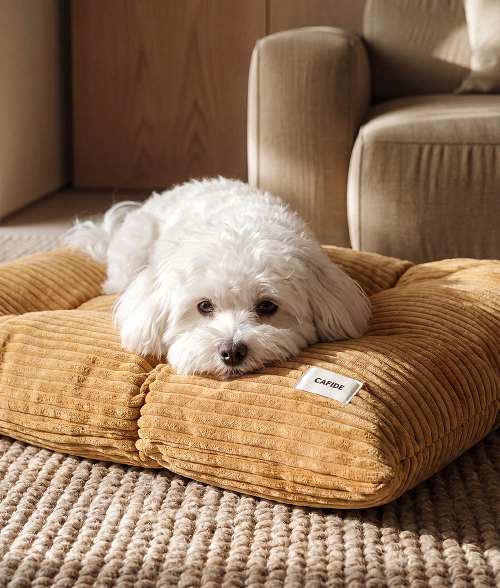 cafide-pets-bela-hundebett-kissen-cord-senf image 2