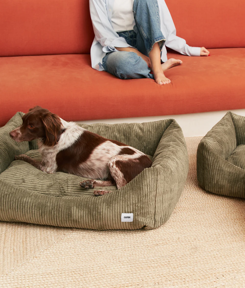 cafide-sleep-snozy-hundebett-cord-gr-n-s-56x50 image 4