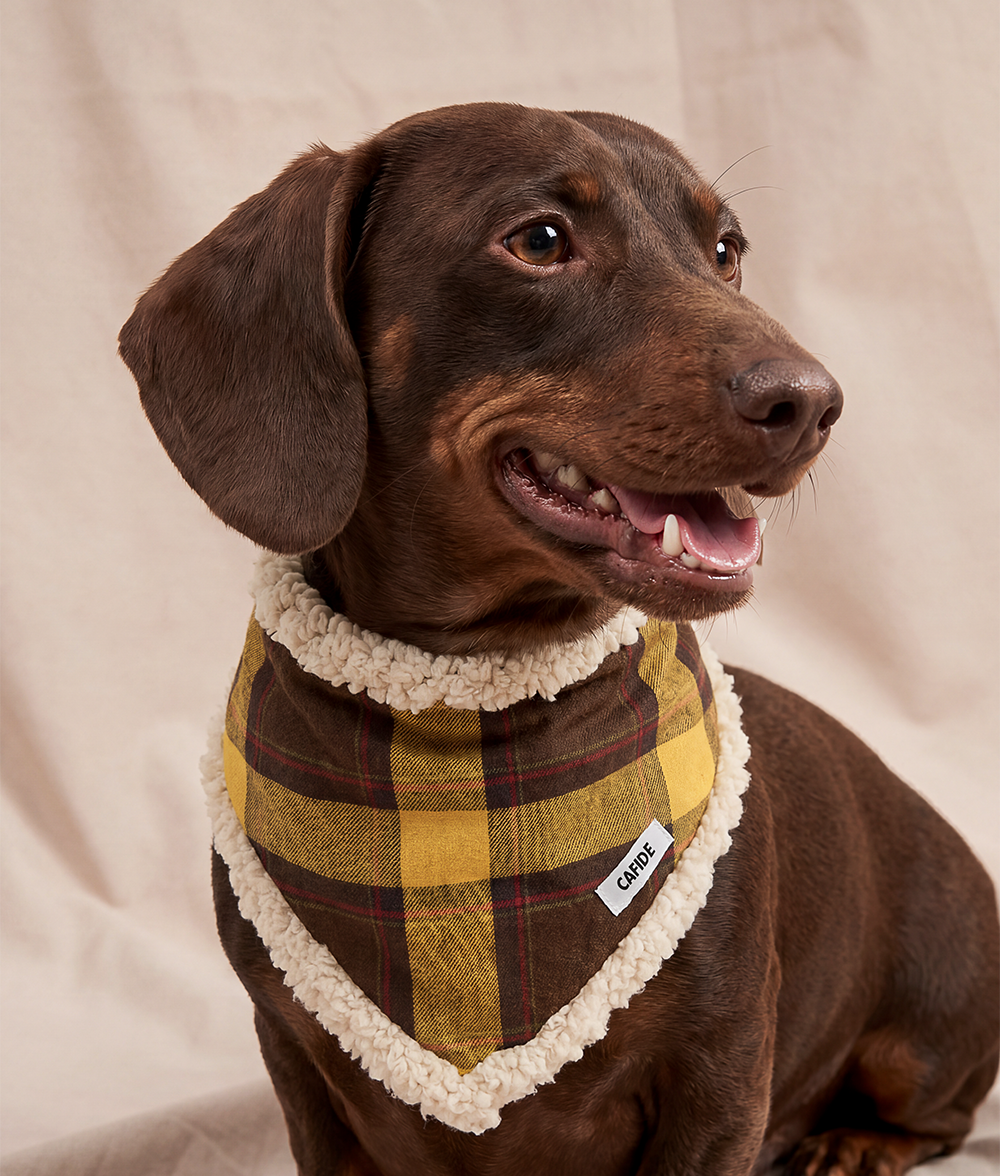 cafide-nata-tartan-hundetuch-senf-kariert-wende-bandana-baumwolle image 3