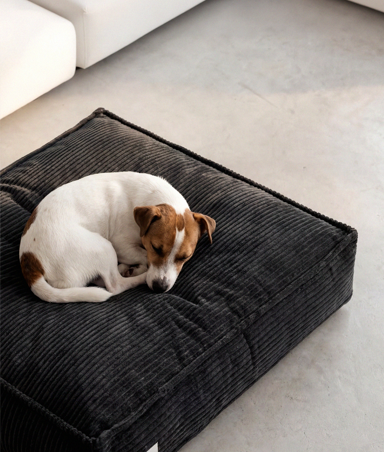 cafide-pets-sleep-cuadra-hundebett-cord-schwarz-m-waschbar image 2