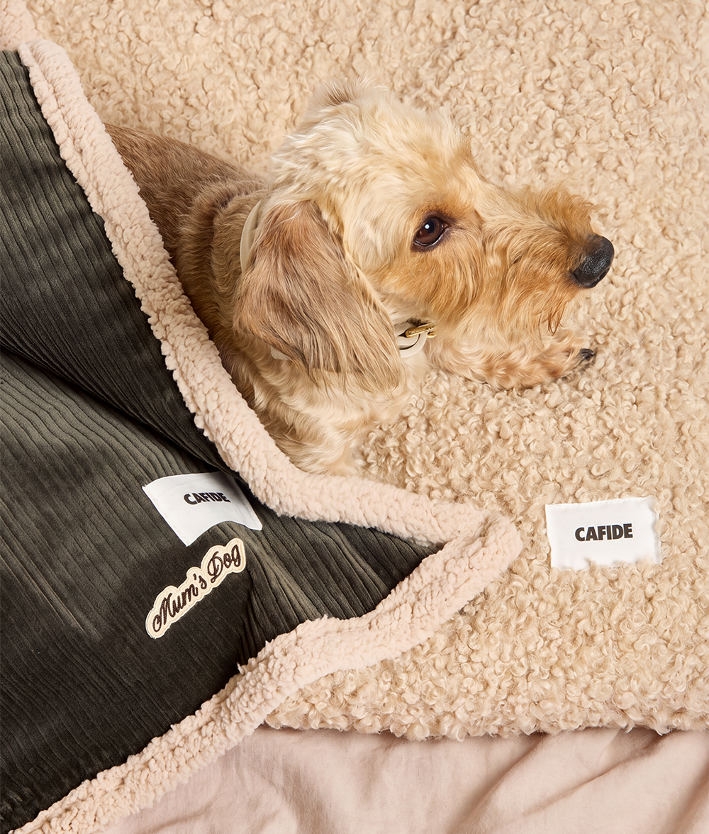 cafide-toia-hundedecke-gr-n-cord-sherpa-m image 2