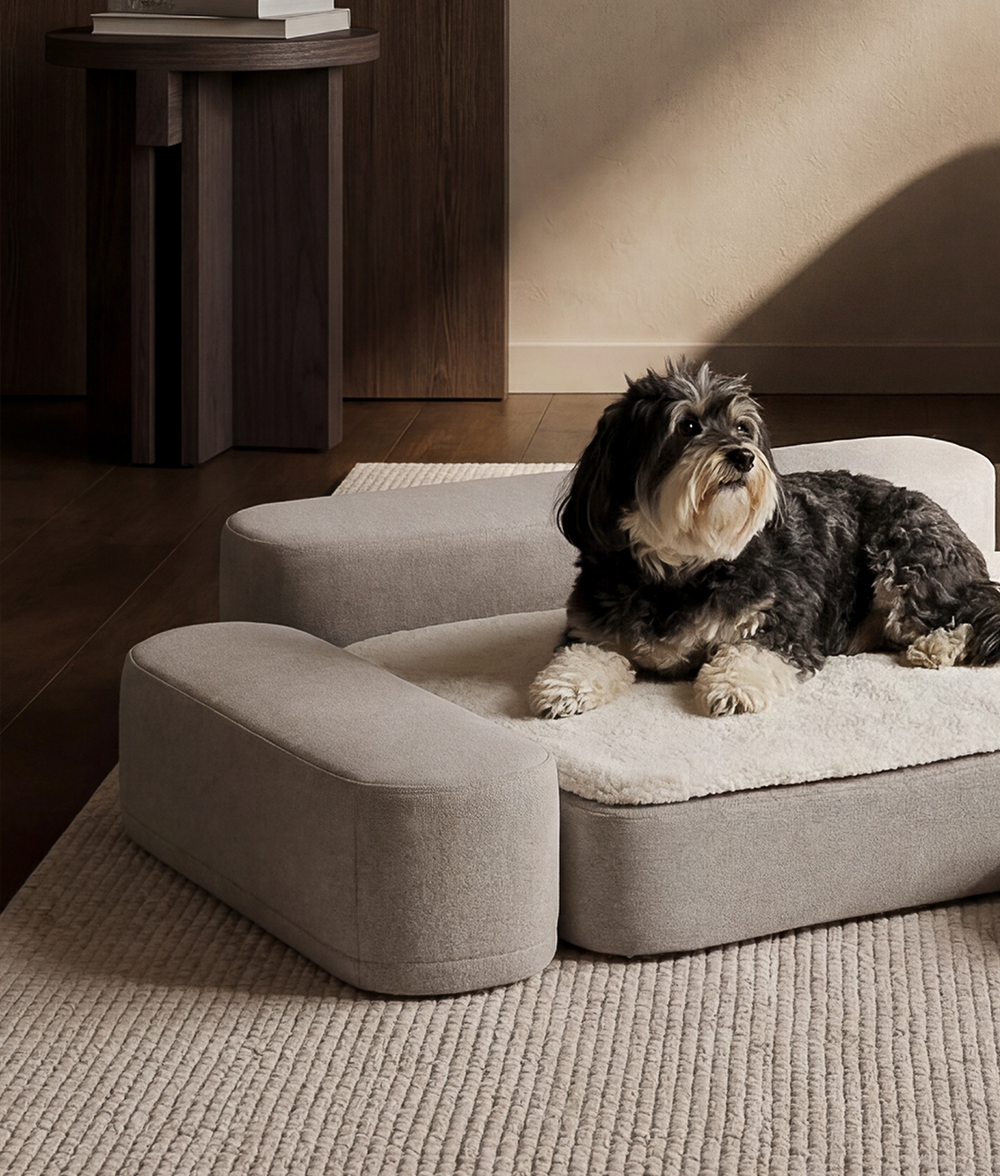 cafide-pets-soma-kopfteil-hundebett-orthop-disch-st-tze image 2