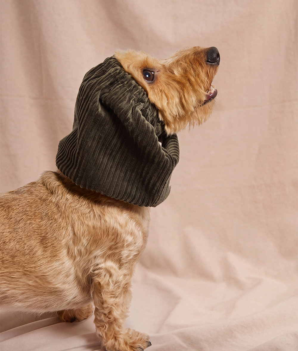 cafide-pets-olga-snood-gr-n-cord-hundeschal-ohren image 3