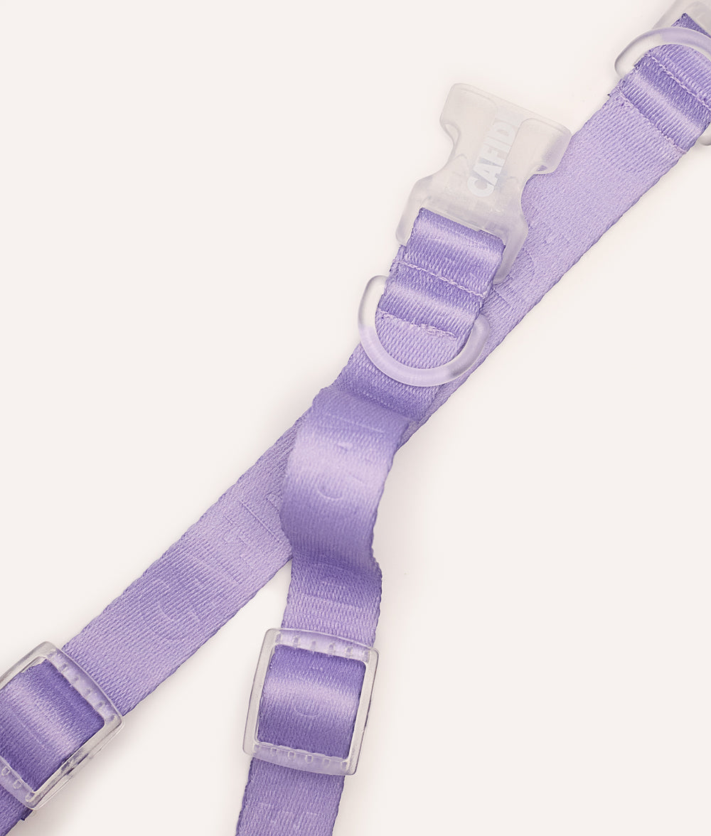 cafide-walk-ona-hundehalsband-violett-xs-verstellbar image 4