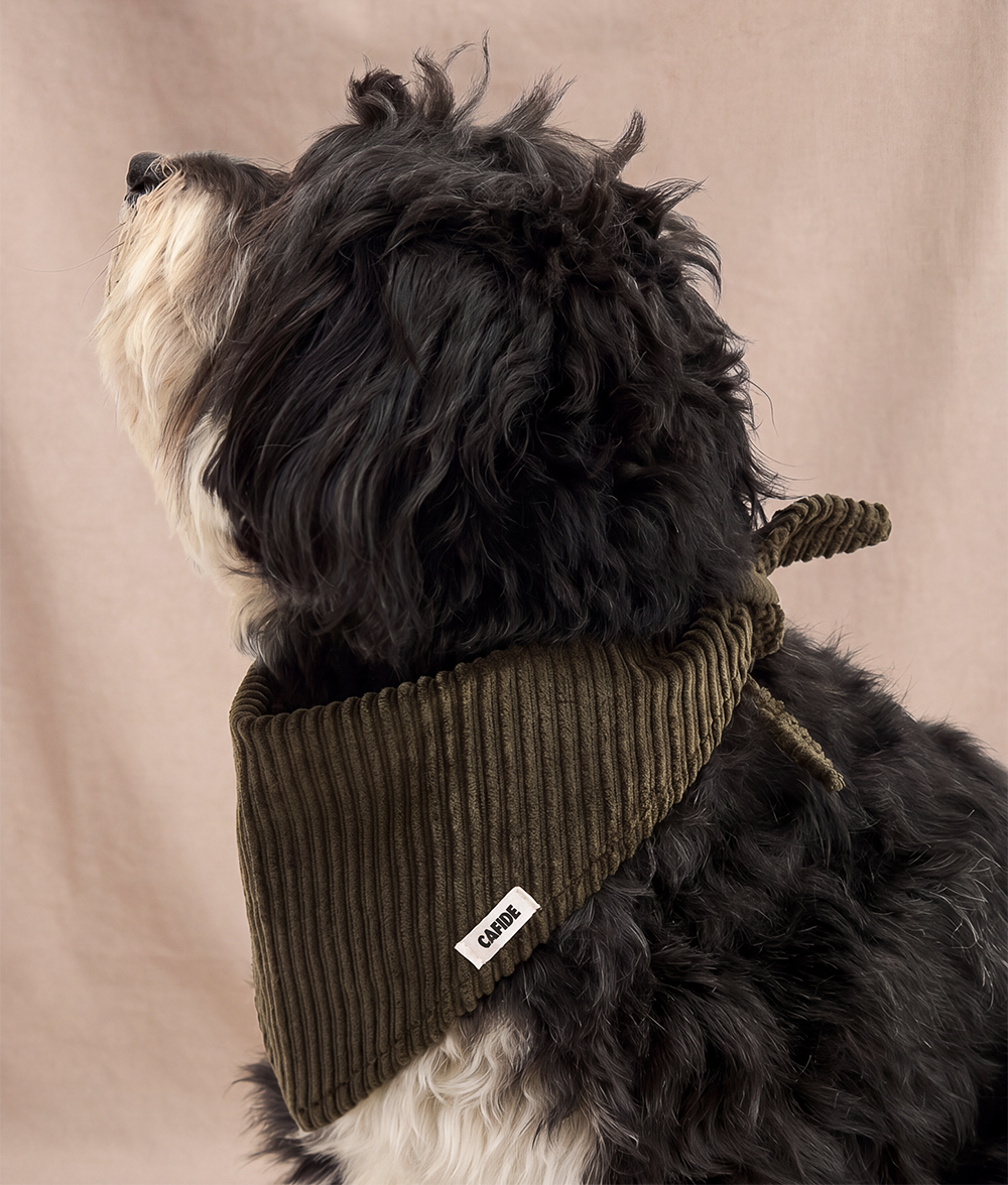 cafide-nata-hundehalstuch-cord-gr-n-m image 2