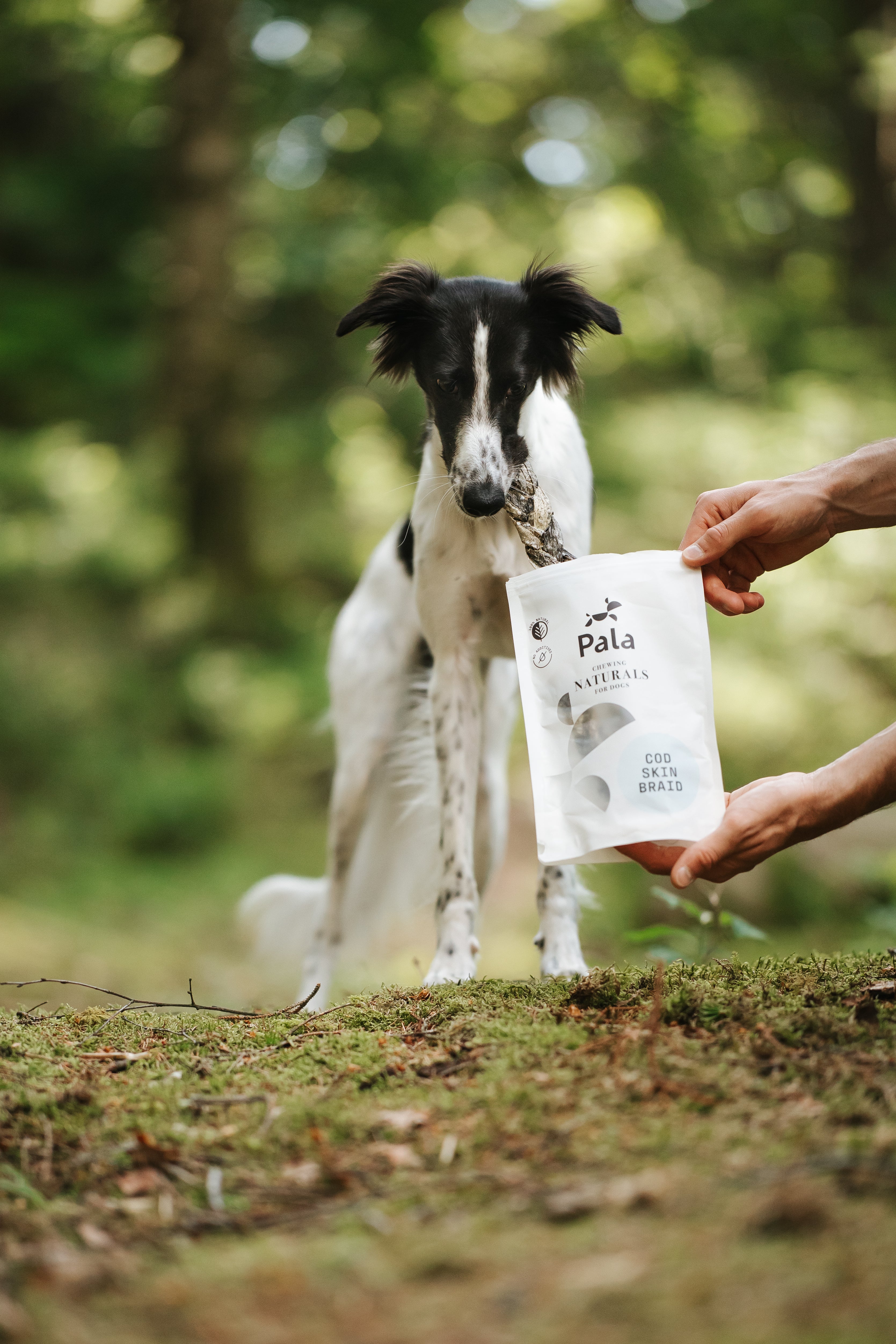 pala-kabeljauhaut-zopf-hundesnack-80-g-fettarm-proteinreich image 2