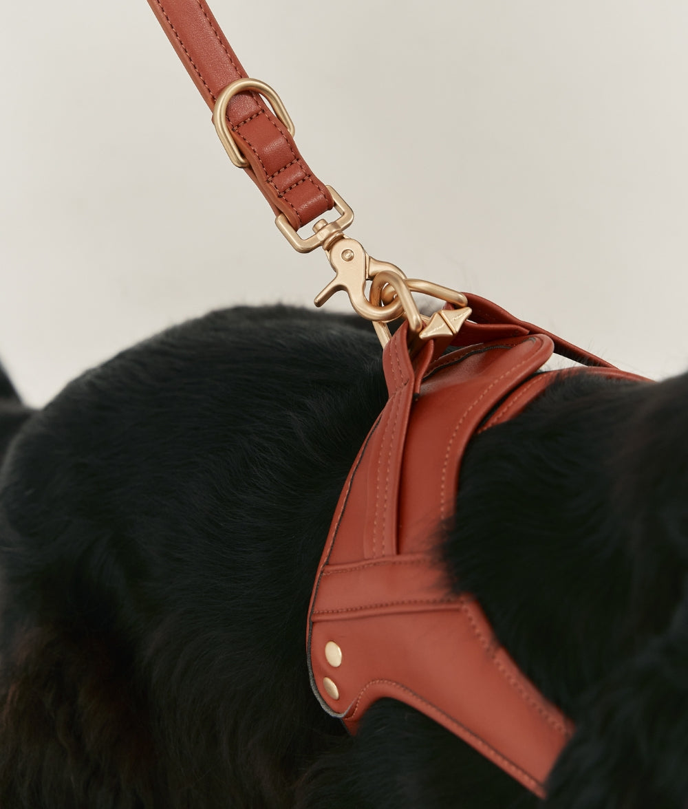 cafide-pets-walk-jala-hundeleine-1-4-m-braun-veganleder image 7