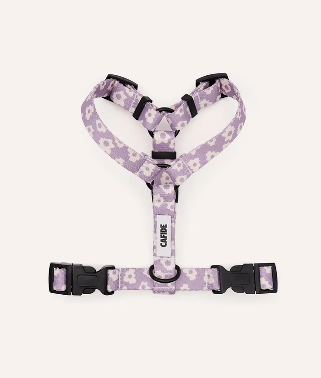 cafide-pets-walk-juno-hundegeschirr-violett-recycelt image 1