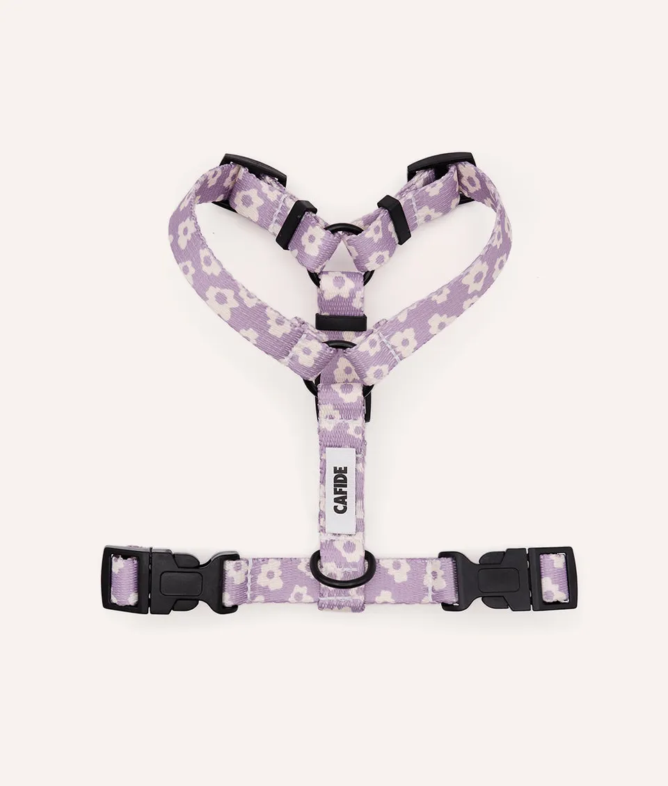 cafide-pets-walk-juno-hundegeschirr-violett-recycelt image 1