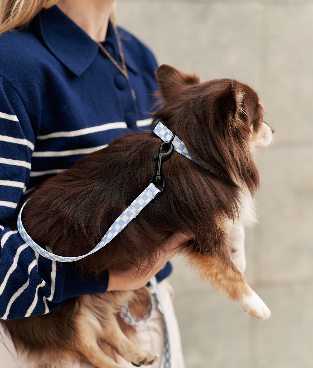 cafide-pets-juno-hundeleine-1-2m-vichy-blau-recycling image 5