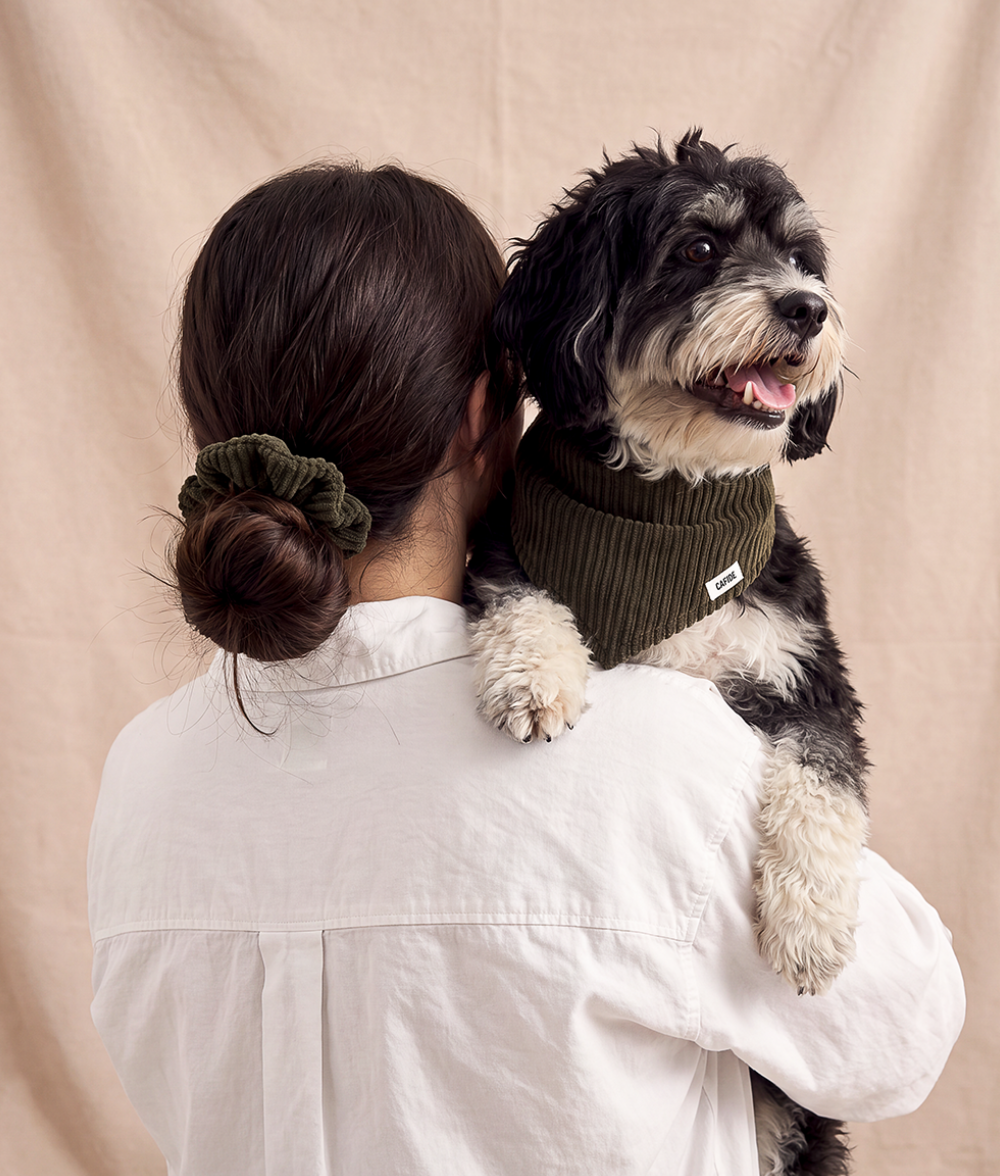 cafide-pets-noa-scrunchie-haargummi-gr-n-cord image 2