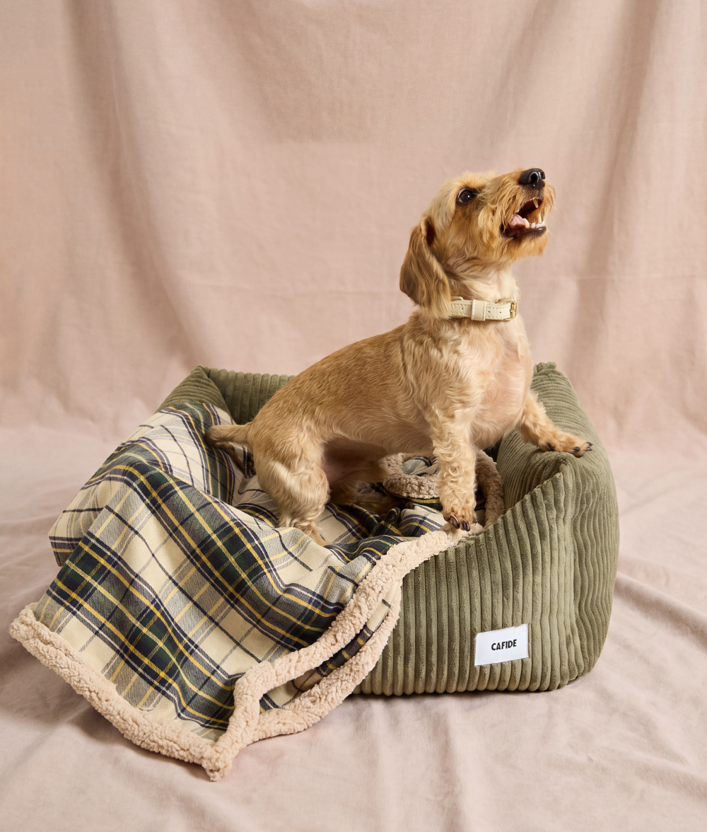 cafide-pets-sleep-toia-hundedecke-beige-karo-l image 2