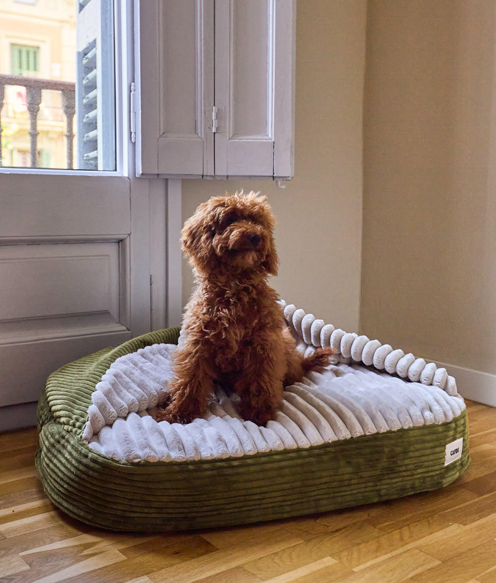 cafide-sleep-maso-h-hlen-hundebett-cord-gr-n-m image 3