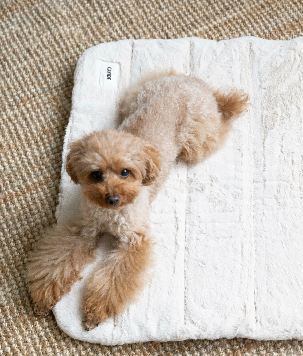 cafide-sleep-leila-hundebett-beige-fell-m-80x60-transportabel image 3