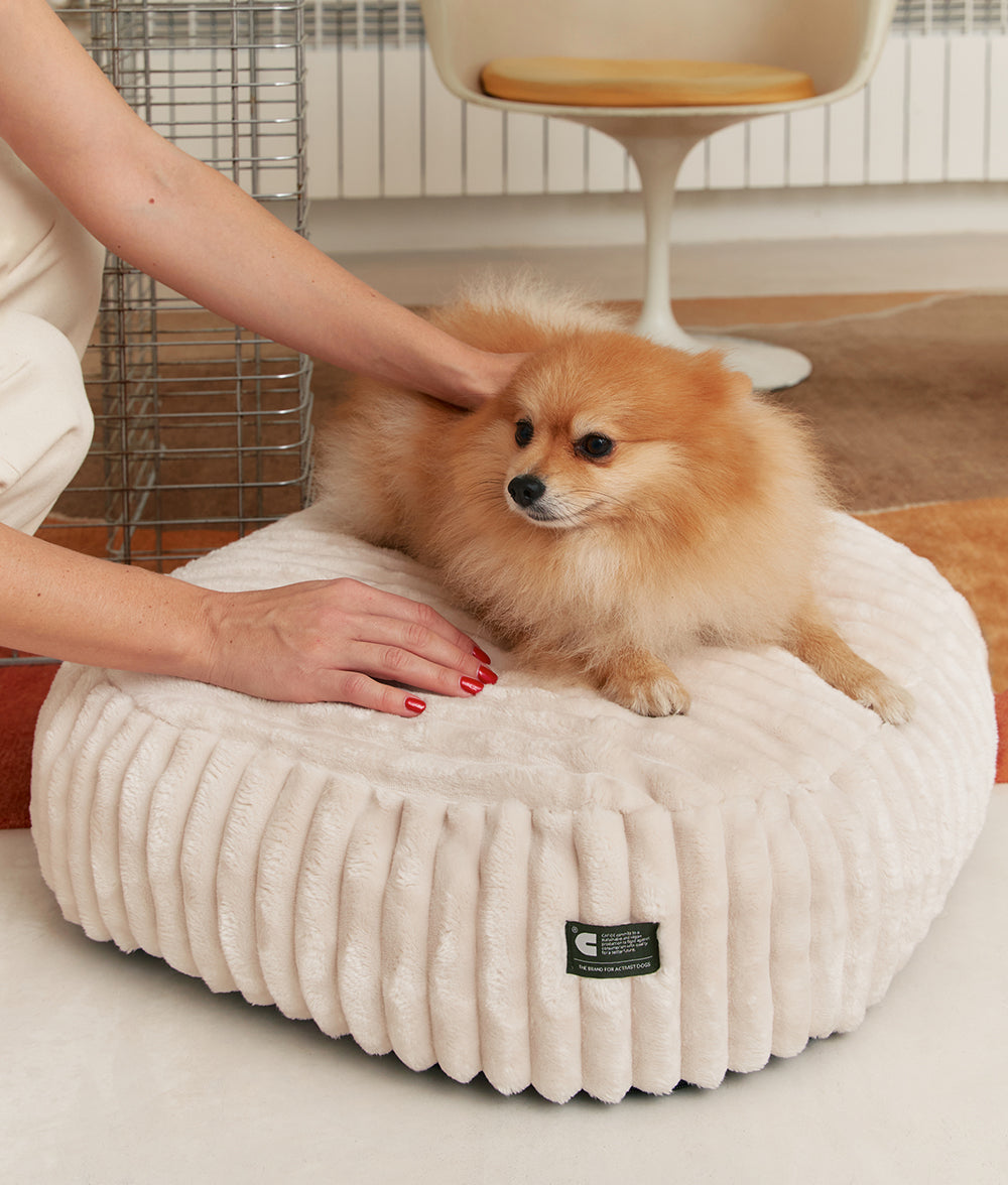 cafide-maso-hundebett-wei-cord-waschbar-m image 1