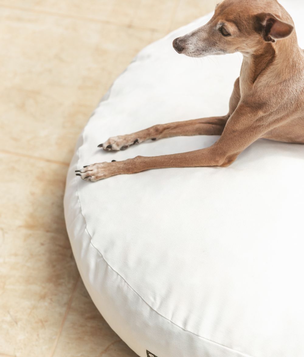 cafide-sleep-calos-hundebett-wei-outdoor-waschbar image 2