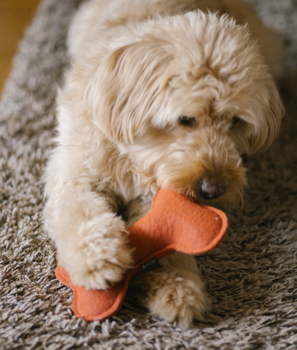 cafide-pets-play-hundespielzeug-knochen-terracotta-weich image 2
