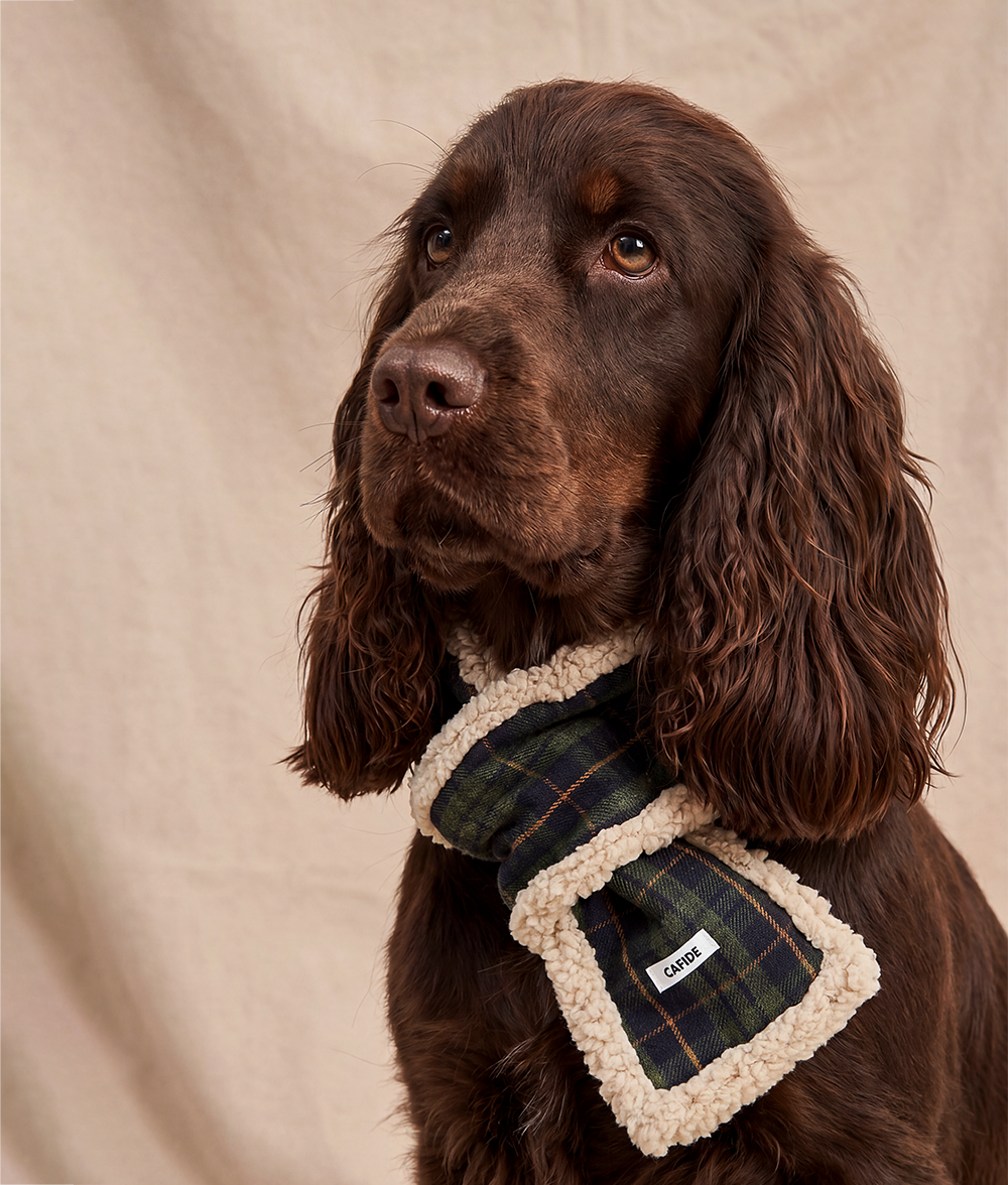 cafide-pets-accessories-mica-hundeschal-tartan-gr-n-w-rmend image 2