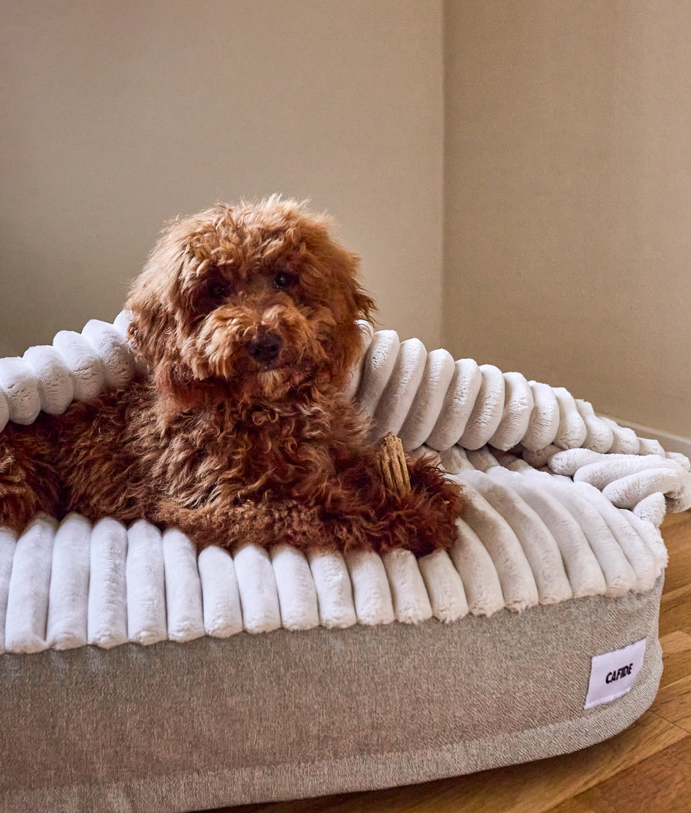 cafide-sleep-maso-h-hlen-hundebett-chenille-beige-m image 4